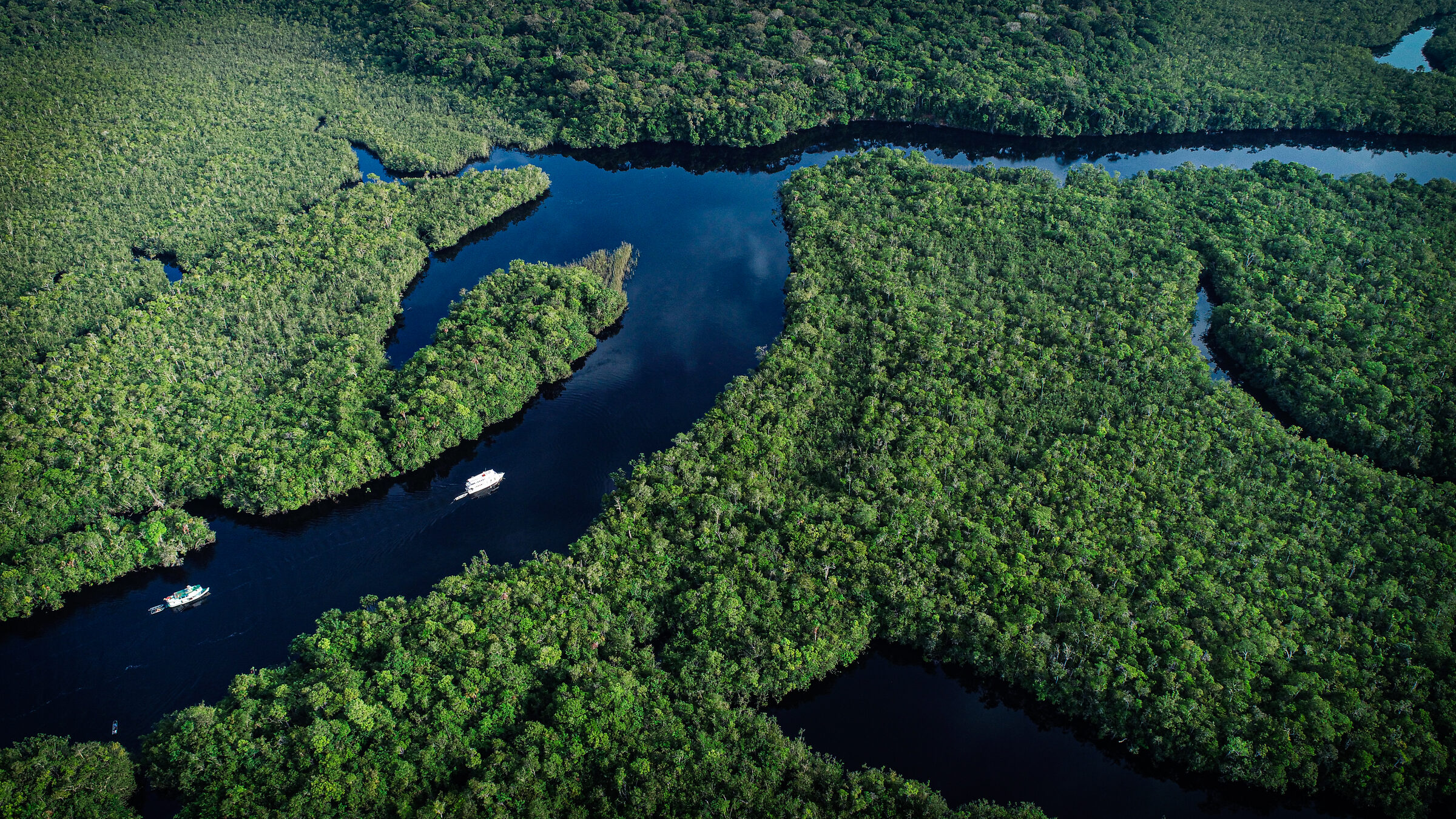 Rio Negro · Amazon